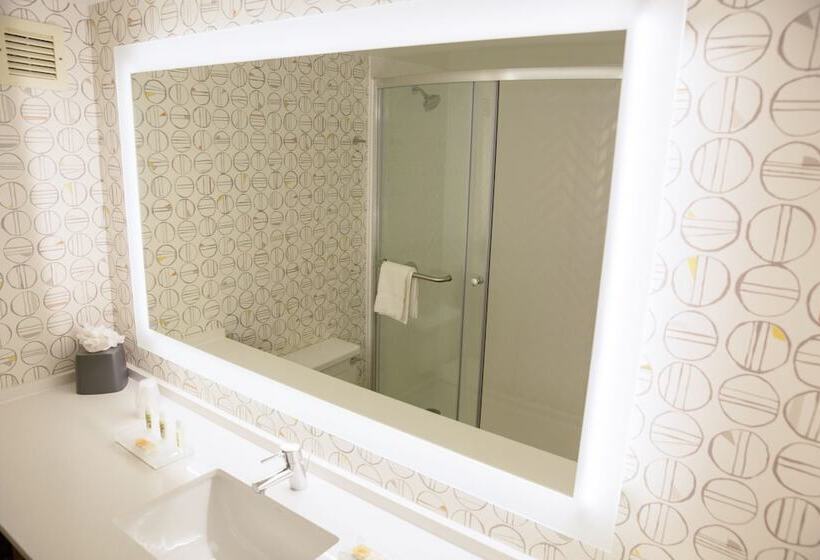 Номер Стандарт, Holiday Inn Orlando International Airport, An Ihg