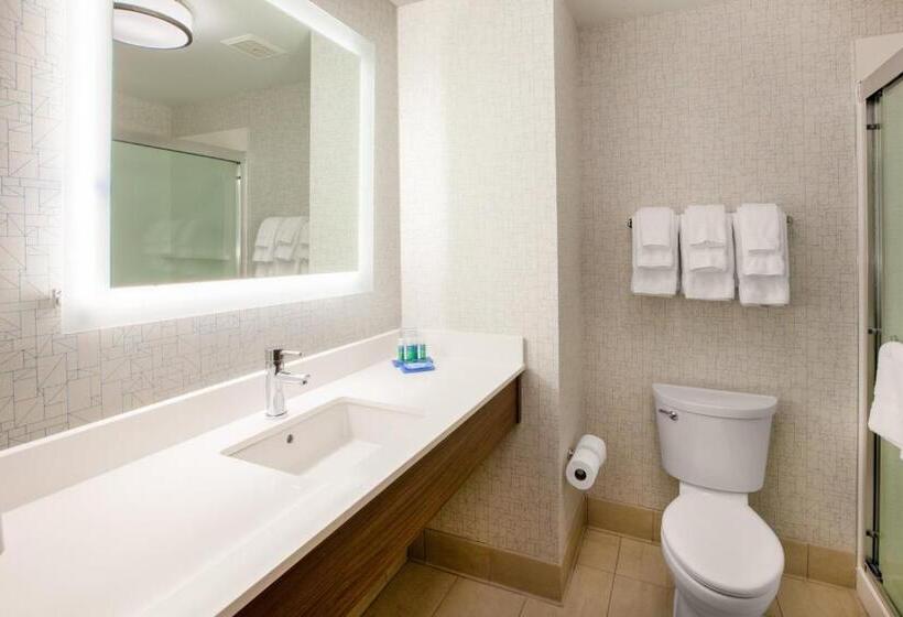 キングサイズベッドのスタンダードルーム, Holiday Inn Express & Suites   Houston   N Downtown, An Ihg