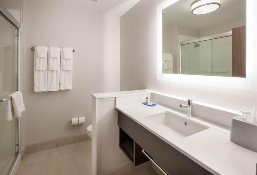 スタンダードルーム, Holiday Inn Express & Suites   Houston   N Downtown, An Ihg