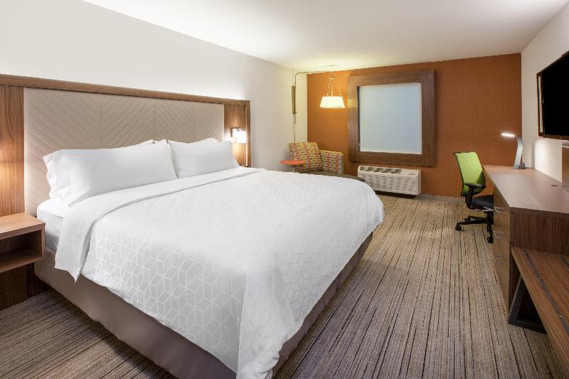 身障者適用キングサイズベッドルーム, Holiday Inn Express & Suites   Houston   N Downtown, An Ihg