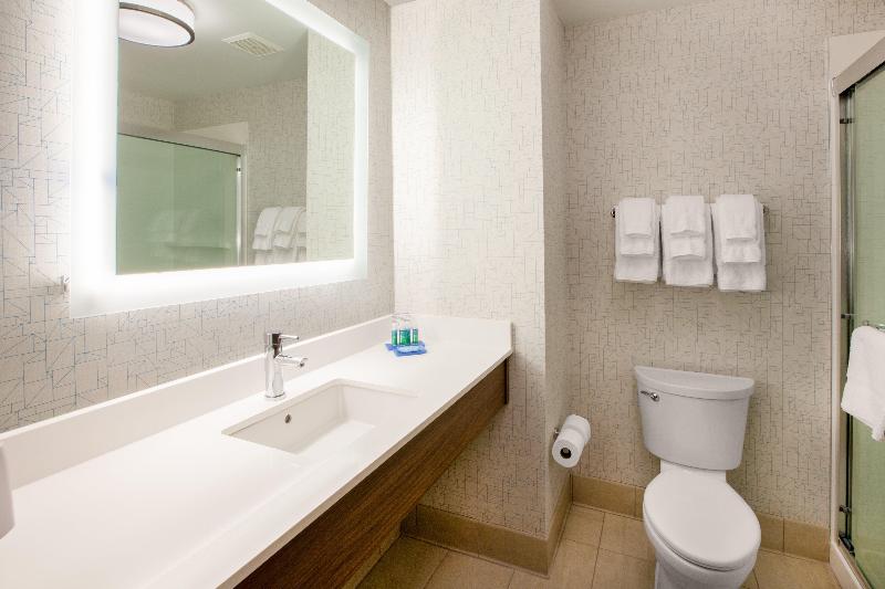 身障者適用キングサイズベッドルーム, Holiday Inn Express & Suites   Houston   N Downtown, An Ihg