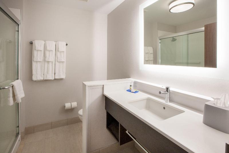身障者適用スタンダードルーム, Holiday Inn Express & Suites   Houston   N Downtown, An Ihg
