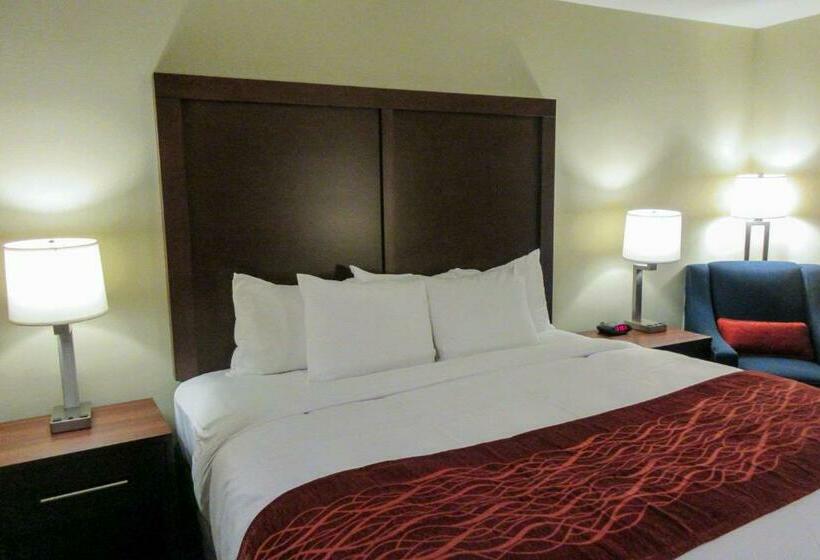 Стандартный Номер Кровать Кинг, Comfort Inn & Suites Amish Country