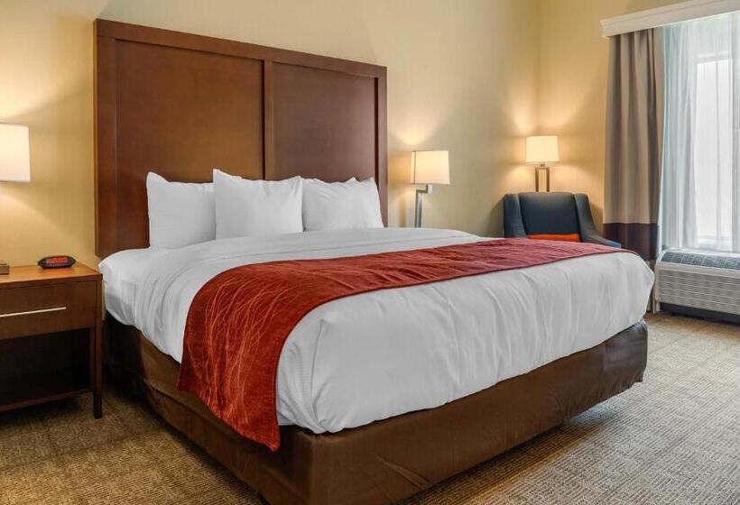 Стандартный Номер Кровать Кинг, Comfort Inn & Suites Amish Country