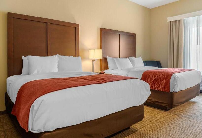 Номер Стандарт, Comfort Inn & Suites Amish Country