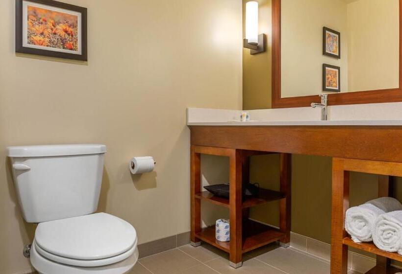 Люкс Кровать Кинг, Comfort Inn & Suites Amish Country