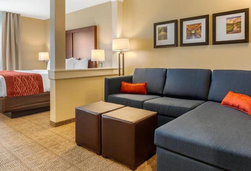 Люкс Адаптированный для Инвалидов, Comfort Inn & Suites Amish Country