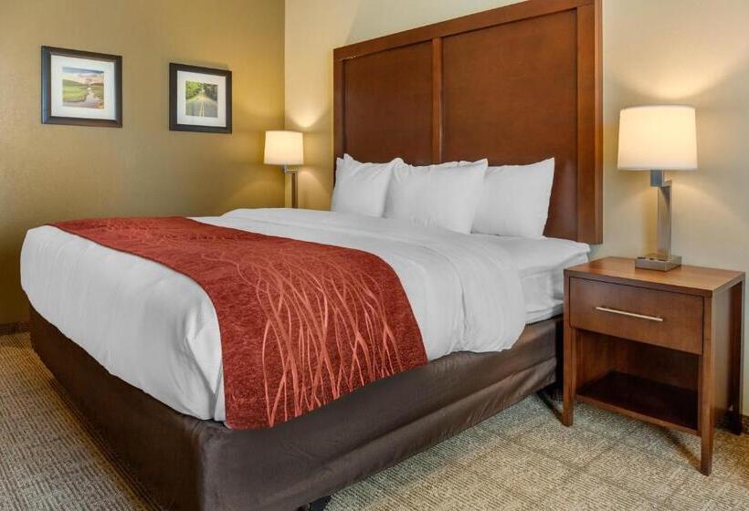 Номер Стандарт Кровать Кинг Адаптированный для Инвалидов, Comfort Inn & Suites Amish Country