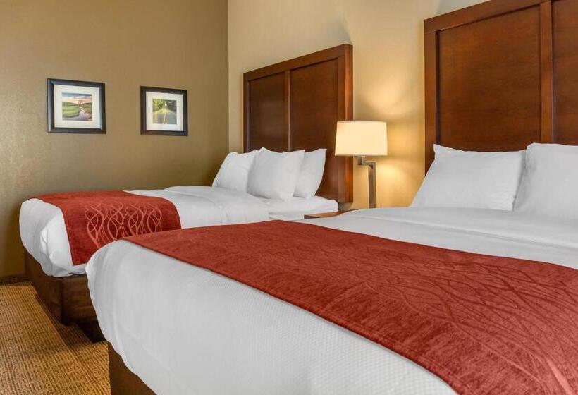 Номер Стандарт Адаптированный для Инвалидов, Comfort Inn & Suites Amish Country