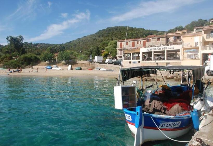 اتاق استاندارد, Campomoro