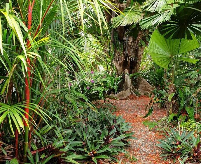 스탠다드 룸, Rainforest Castaways Resort And Spa