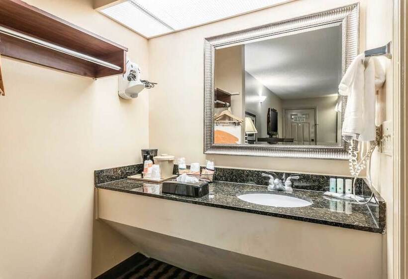 Номер Стандарт 2 Двуспальные Кровати, Quality Inn Decatur River City