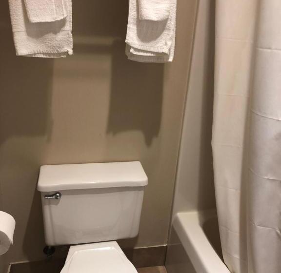 Стандартный Номер Кровать Кинг, Econo Lodge