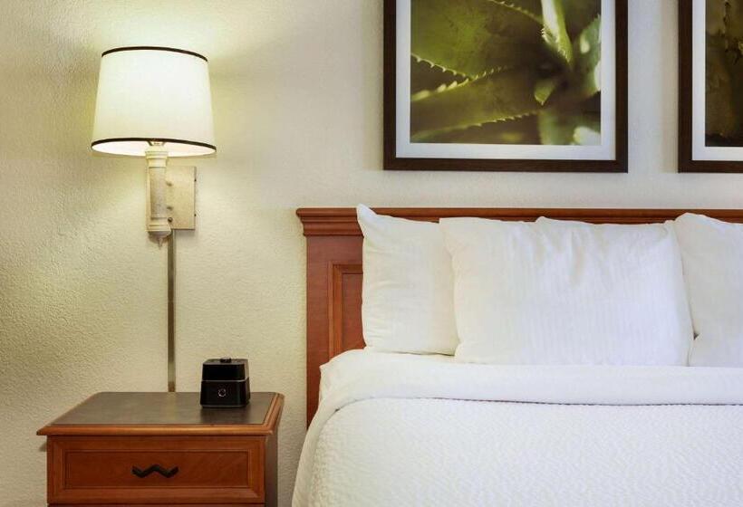 Номер Стандарт Кровать Кинг Адаптированный для Инвалидов, La Quinta Inn By Wyndham Austin Capitol / Downtown