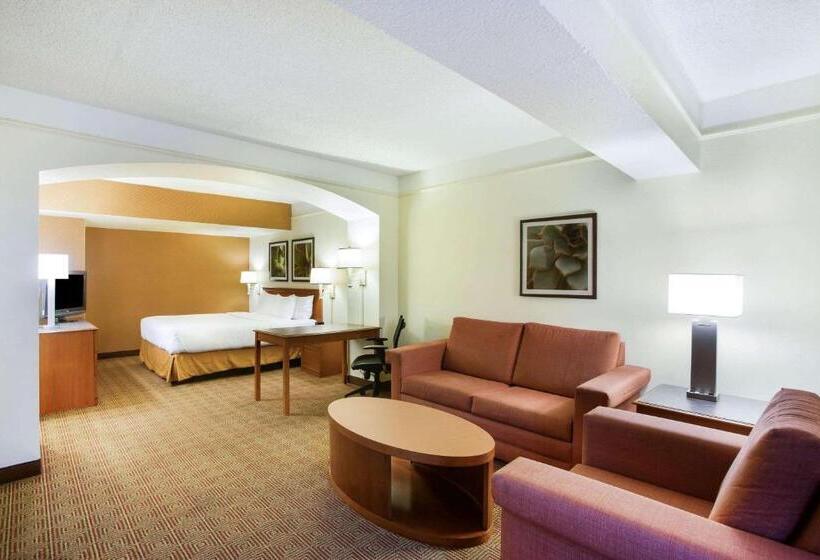Люкс Кровать Кинг, La Quinta Inn By Wyndham Austin Capitol / Downtown