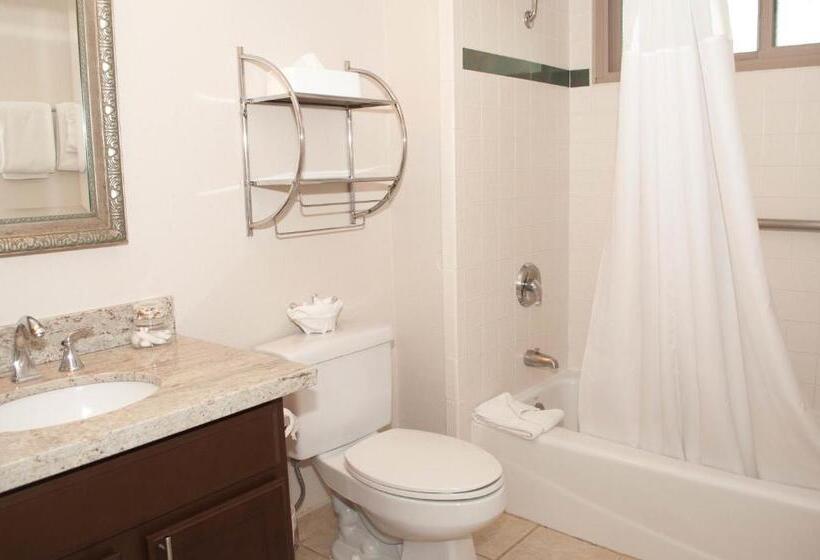 Студия Deluxe, Laguna Shores Studio Suites