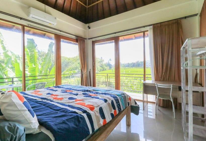 اتاق لوکس, Sunari Guesthouse