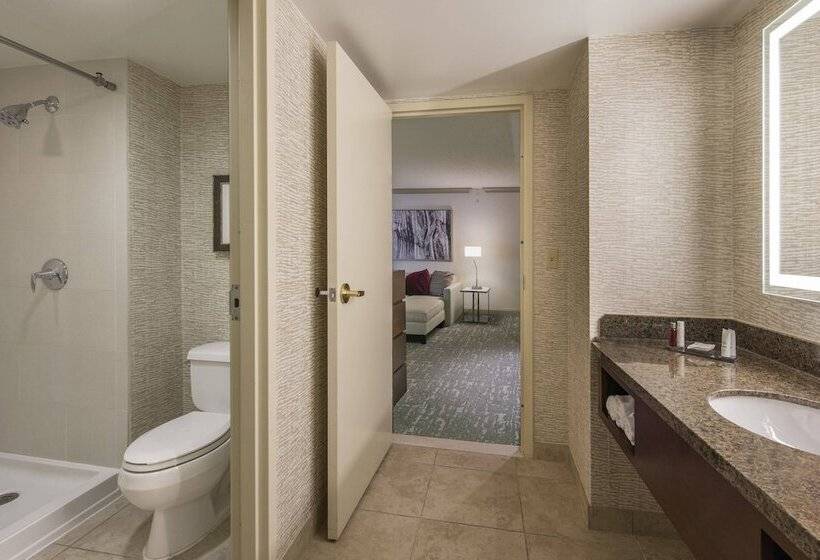 스탠다드 룸 더블 침대 2개, Denver Airport Marriott At Gateway Park