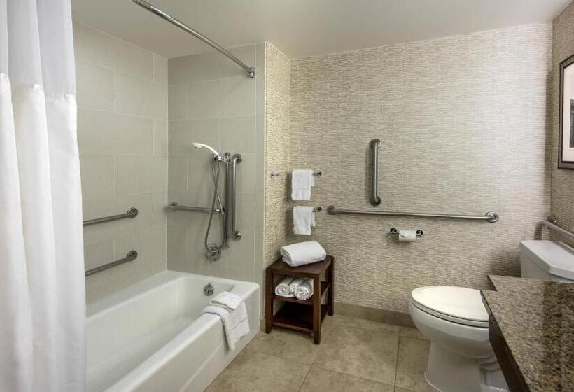 스탠다드 룸 킹사이즈 침대, Denver Airport Marriott At Gateway Park