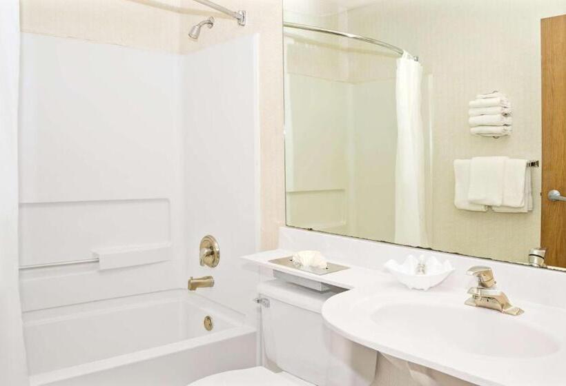 장애인을 위한 스탠다드 룸, Microtel Inn By Wyndham Raleigh Durham Airport