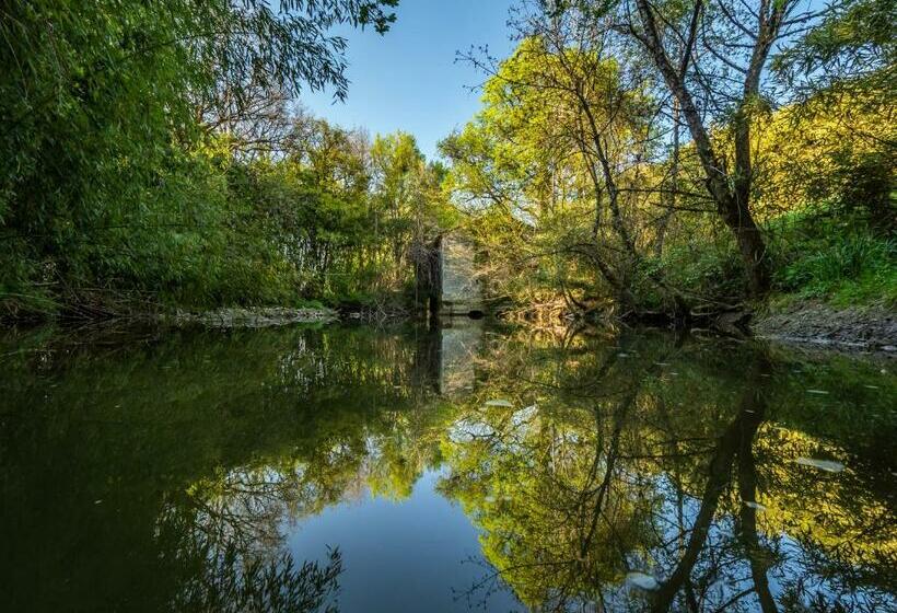 Номер Стандарт, Moulin De Labique