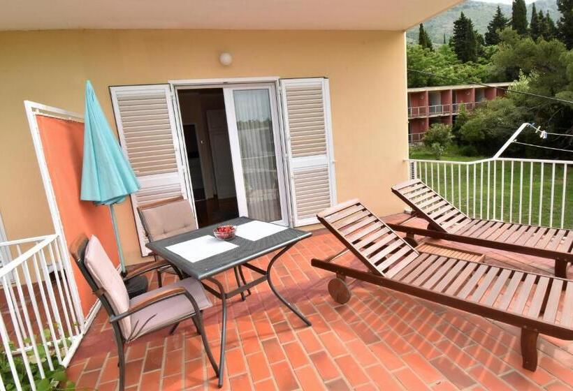 اتاق استاندارد با چشم‌انداز باغ, Guesthouse Kanjuo