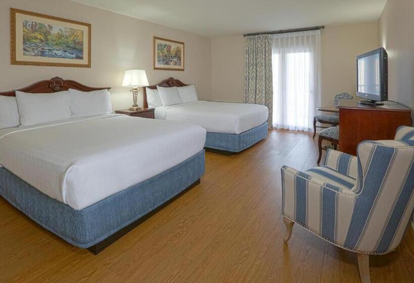 マウンテンビューデラックスルーム, Music Road Resort Hotel And Inn
