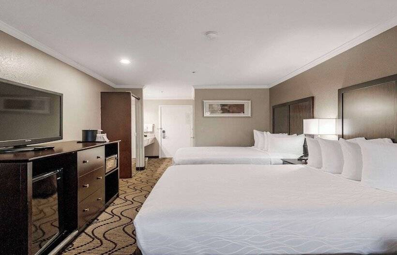 Номер Стандарт, Best Western Plus Orchid Hotel & Suites