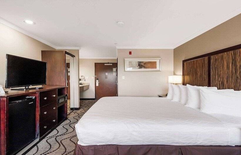 Люкс, Best Western Plus Orchid Hotel & Suites