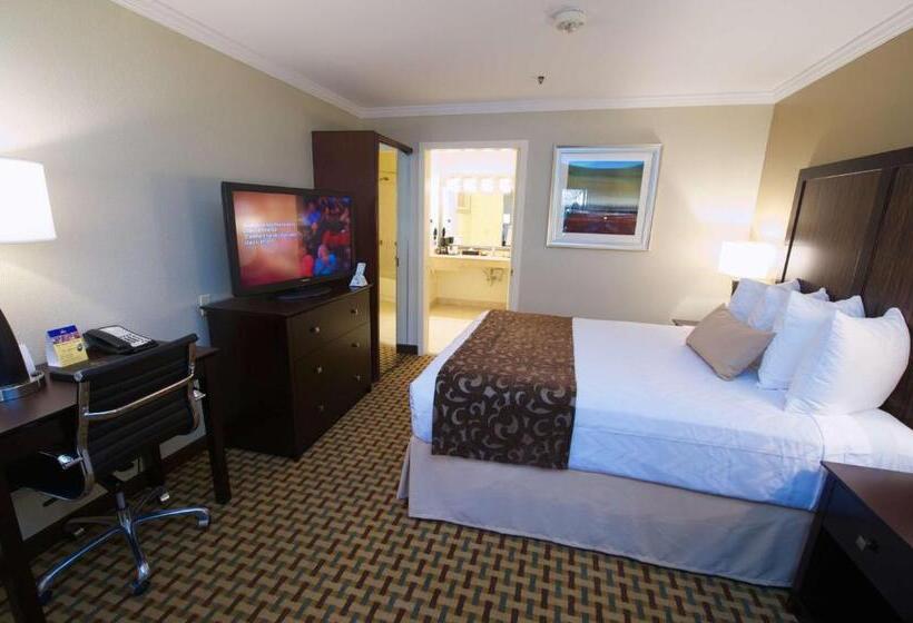 Стандартный Номер Кровать Кинг, Best Western Plus Orchid Hotel & Suites