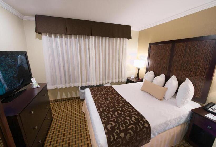 Номер Стандарт, Best Western Plus Orchid Hotel & Suites
