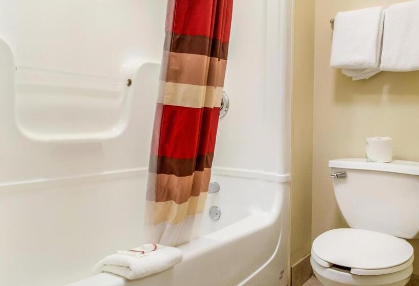 Номер Deluxe, Red Roof Inn Plus Raleigh Downtown Ncsu Conv Center