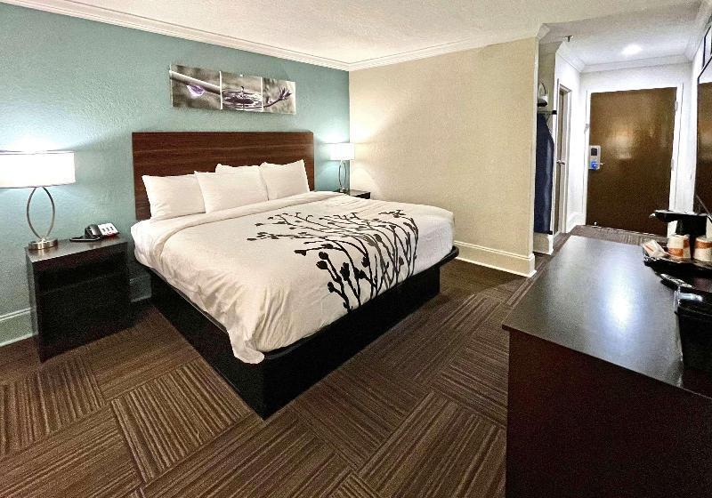 Номер Стандарт Кровать Кинг Адаптированный для Инвалидов, Sleep Inn & Suites Niceville   Destin