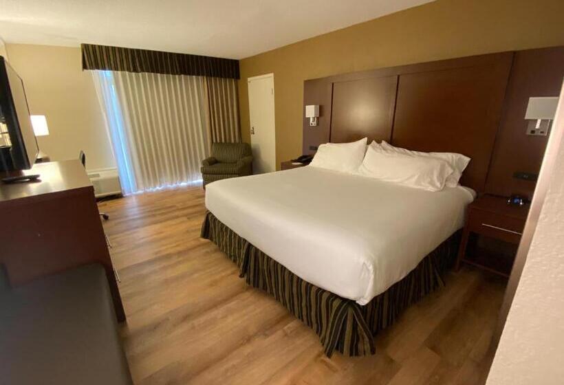 스탠다드 룸 킹사이즈 침대, Wyndham Garden Warsaw