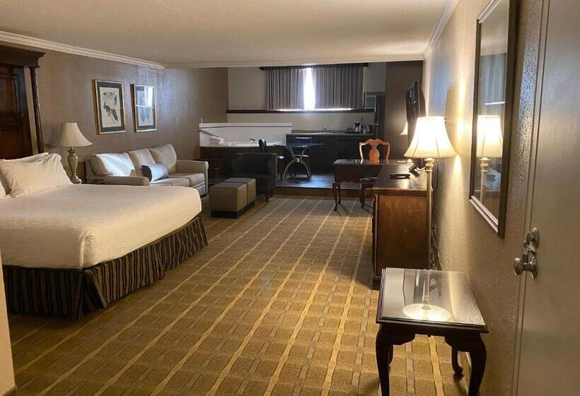 스위트 킹사이즈 침대, Wyndham Garden Warsaw