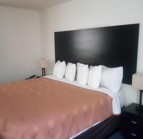 Номер Стандарт Кровать Кинг Адаптированный для Инвалидов, Fairbridge Inn & Suites Sunnyside