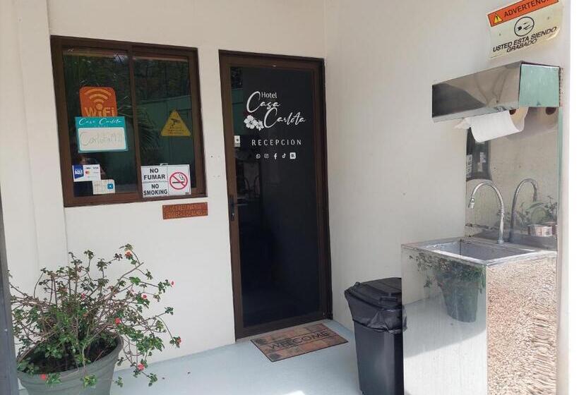 اتاق استاندارد با 2 تخت دوبل, Carlota Tamarindo