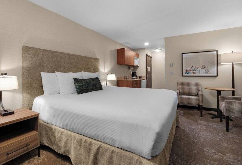 Студия Стандарт, Schooner S Cove Inn