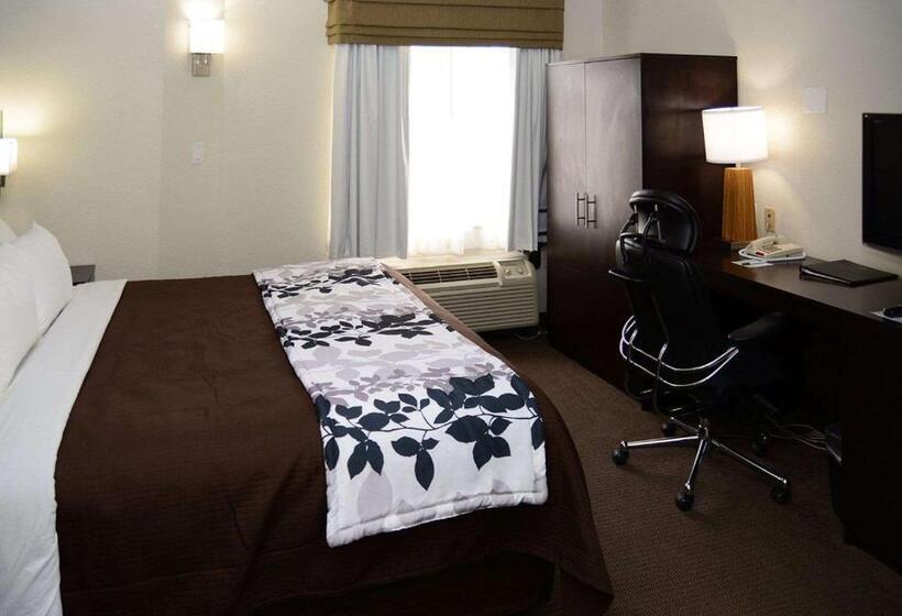 스탠다드 룸 킹사이즈 침대, Sleep Inn Horn Lakesouthaven