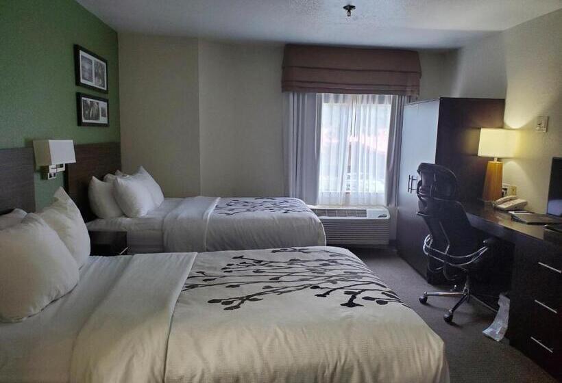 디럭스 룸, Sleep Inn Horn Lakesouthaven