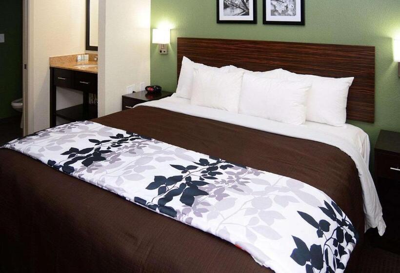 스탠다드 싱글 룸, Sleep Inn Horn Lakesouthaven