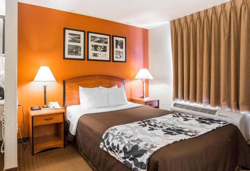 Номер Стандарт, Sleep Inn South Jordansandy