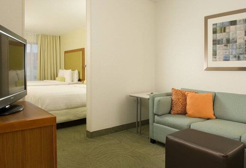 Люкс, Springhill Suites By Marriott Orlando Convention Center