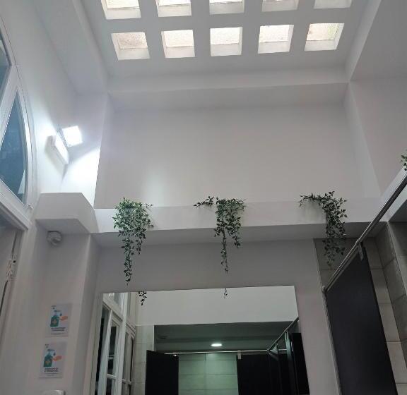 تختخواب در اتاق مشترک, Planeta Cadiz Hostel