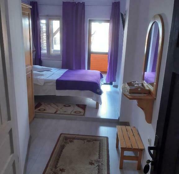 Pokój Deluxe z Balkonem, Vila Szoke Sovata