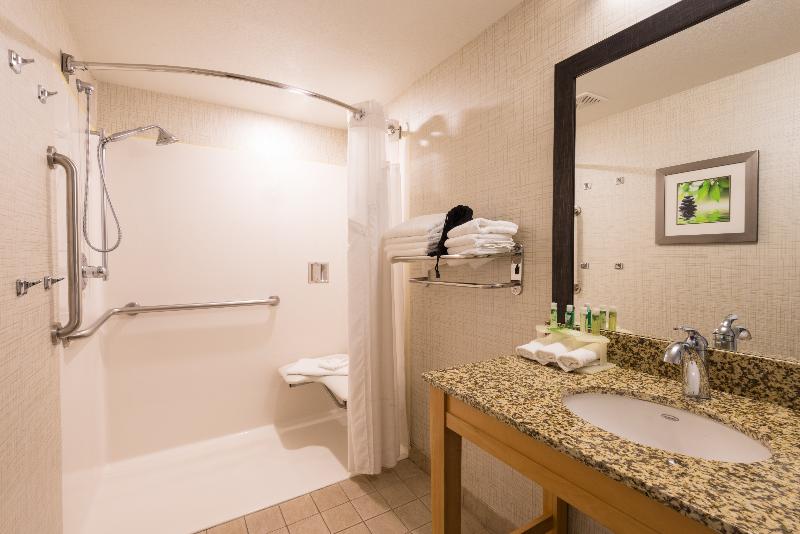 스탠다드 룸 킹사이즈 침대, Holiday Inn Express & Suites Wheat Ridge Denver West, An Ihg