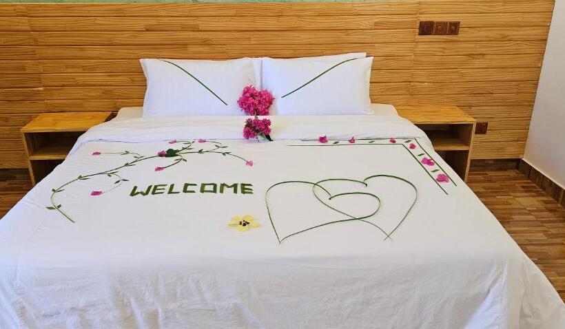 اتاق لوکس, Turtle Maldives   Your Gateway To The Beach & Marine Adventures Await!
