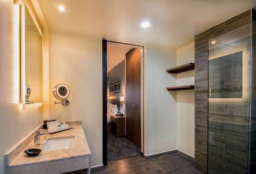 Люкс Кровать Кинг, Hampton By Hilton David