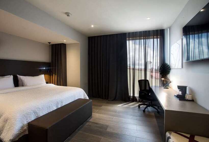 Люкс Кровать Кинг, Hampton By Hilton David