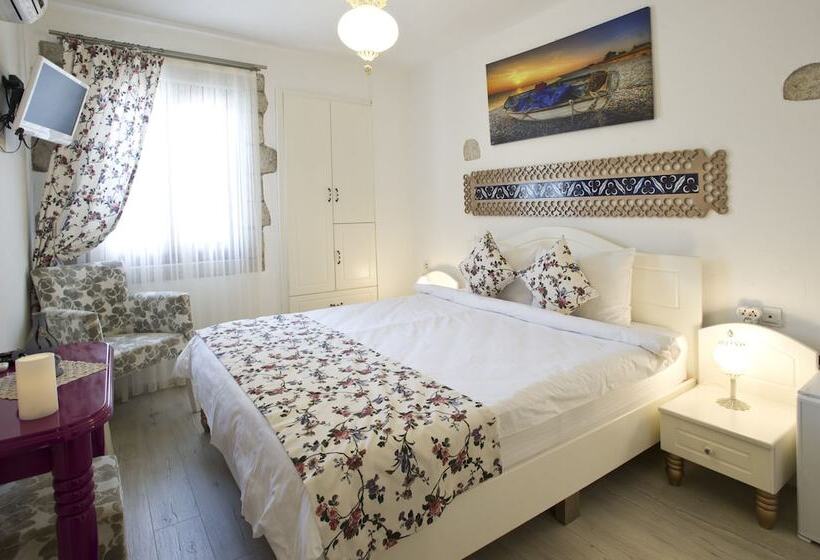 اتاق استاندارد با تخت دوبل, Lodos Butik Otel
